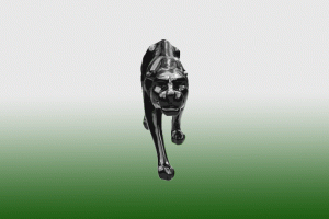 Panther