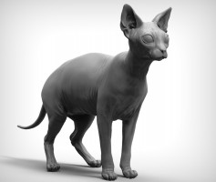 Sphinx