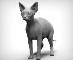 Sphinx
