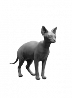 Sphinx